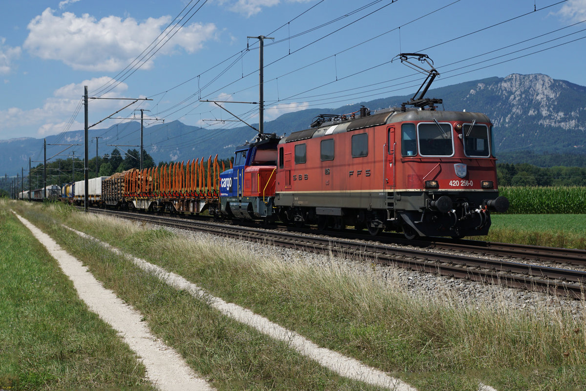 SBB CARGO.
Re 420 256-0 vor nicht erkennbaren Eem 923 mit gemischter Güterlast bei Deitingen am 30. Juli 2018.
Foto: Walter Ruetsch