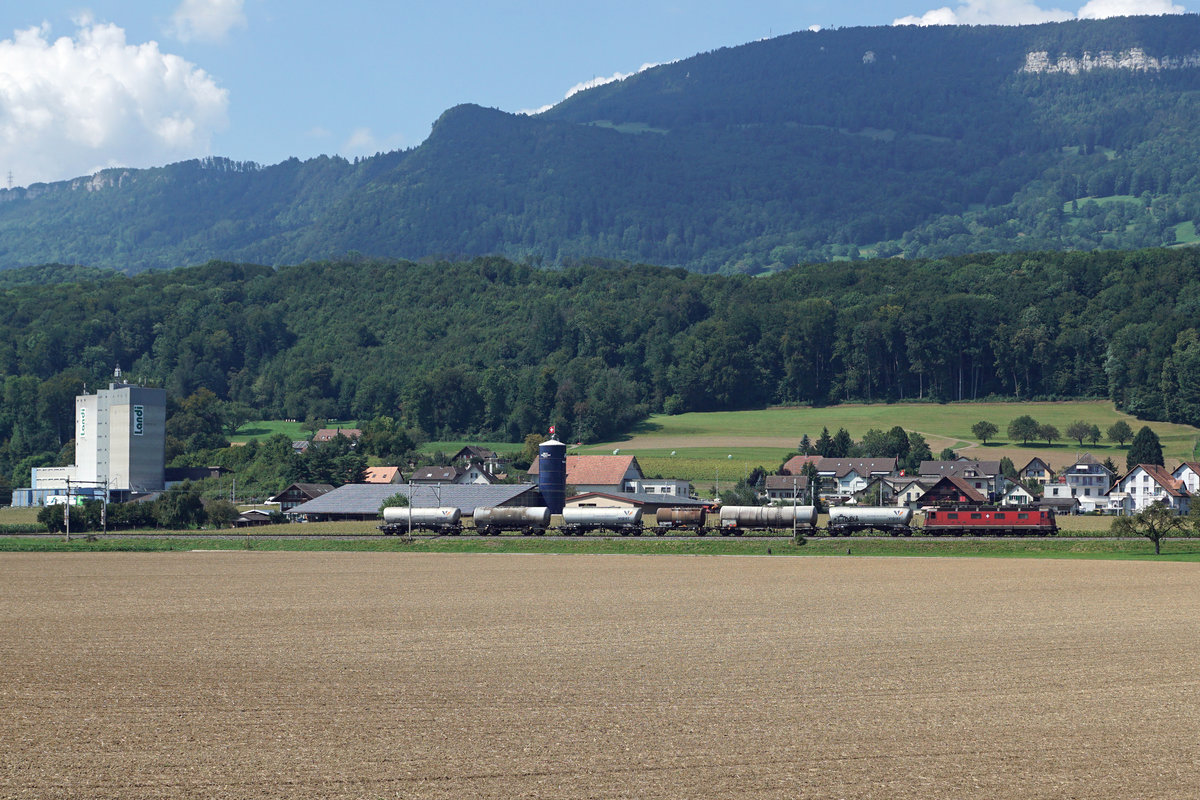 SBB CARGO.
Sechs verschiedene Güterzüge in der Landschaft verewigt bei Niederbipp am 30. August 2019.
Foto: Walter Ruetsch