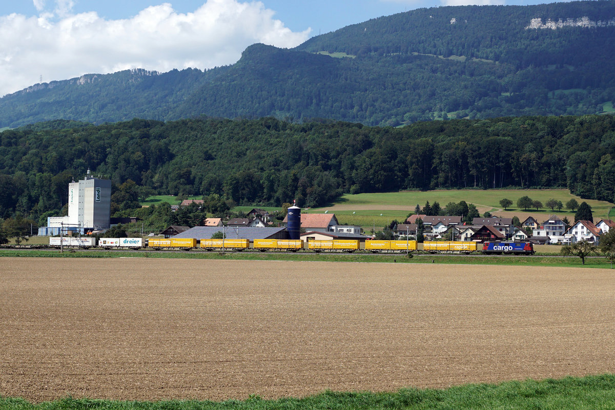 SBB CARGO.
Sechs verschiedene Güterzüge in der Landschaft verewigt bei Niederbipp am 30. August 2019.
Foto: Walter Ruetsch
