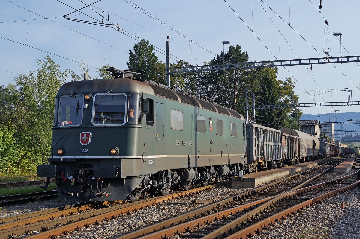 SBB: Die grüne Re 6/6 11646  BUSSIGNY  mit Revisionsdatum 18.7.14 brachte bereits am frühen Morgen des 19. Juli 2014 einen langen Güterzug zum Stahlwerk Gerlafingen. Die Aufnahme ist während der Ankunft im BLS-Bahnhof Gerlafingen entstanden.
Foto: Walter Ruetsch  