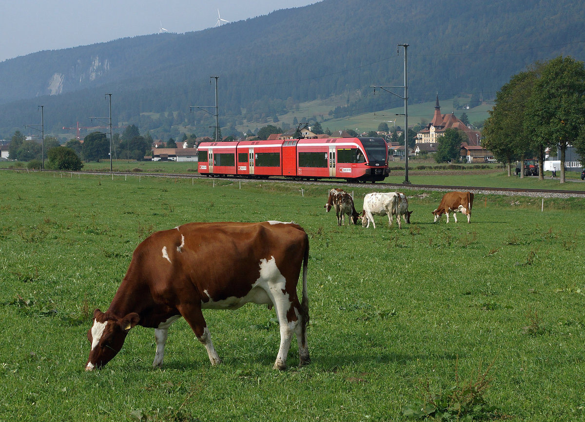SBB: Die  MISS BÄRNER-JURA  und ein RE La Chaux-de-Fonds - Biel mit einem RABe 526 Stadler GTW (ehemals BLS/RM) wurden zusammen auf einem Bild verewigt im Berner-Jura am 23. September 2016.
Foto: Walter Ruetsch