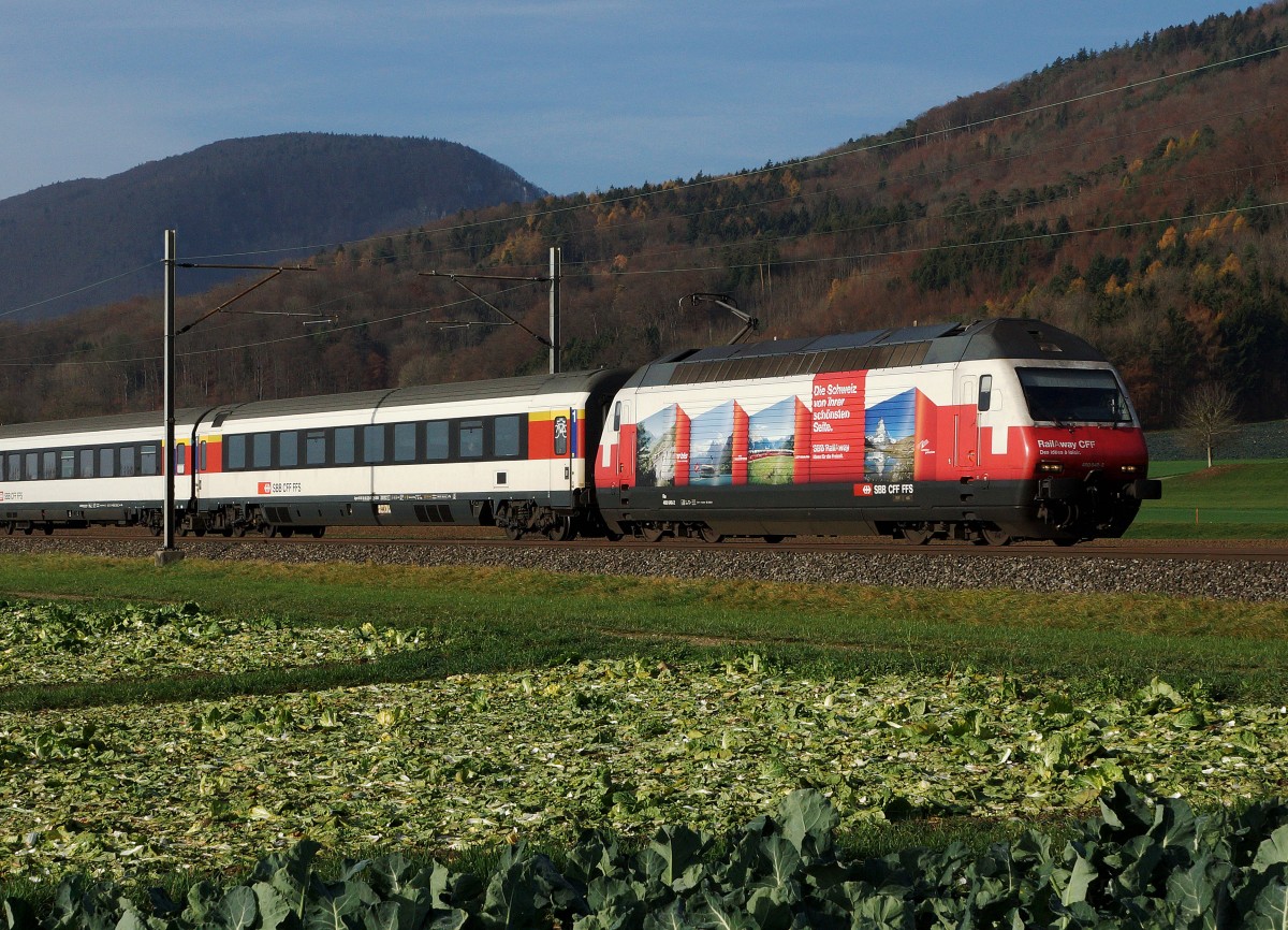 SBB: Die Re 460 048-2 in der Morgensonne bei Oensingen am 16. November 2015 .
Foto: Walter Ruetsch