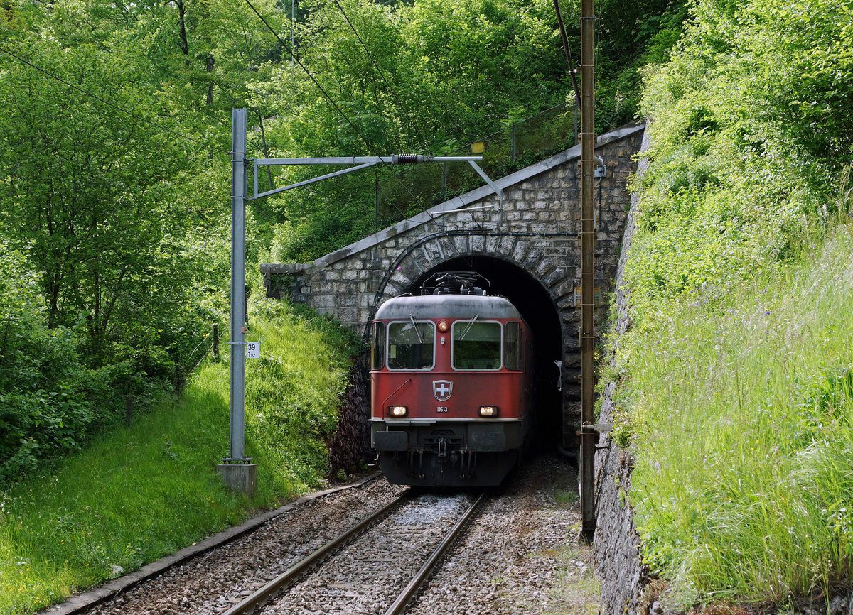 SBB: Güterzug mit der Re 6/6 11613  RAPPERSWIL  bei Frinvillier am 26. Mai 2016.
Foto: Walter Ruetsch