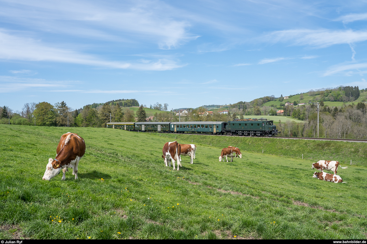 SBB Historic Ae 4/7 10976 auf Pensioniertenfahrt am 14. Mai 2019 bei Ecublens.