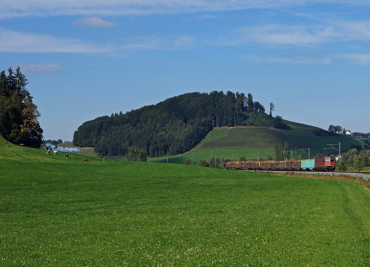 SBB: Holzzug im Luzerner-Hinterland auf der Fahrt nach Menznau mit der Re 6/6 11644  CORNAUX  am 29. September 2015.
Foto: Walter Ruetsch