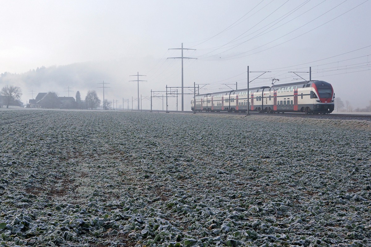 SBB: IR mit RABe 511 am 18. Januar 2015 bei Bollodingen auf der Fahrt nach Bern unterwegs. 
Foto: Walter Ruetsch