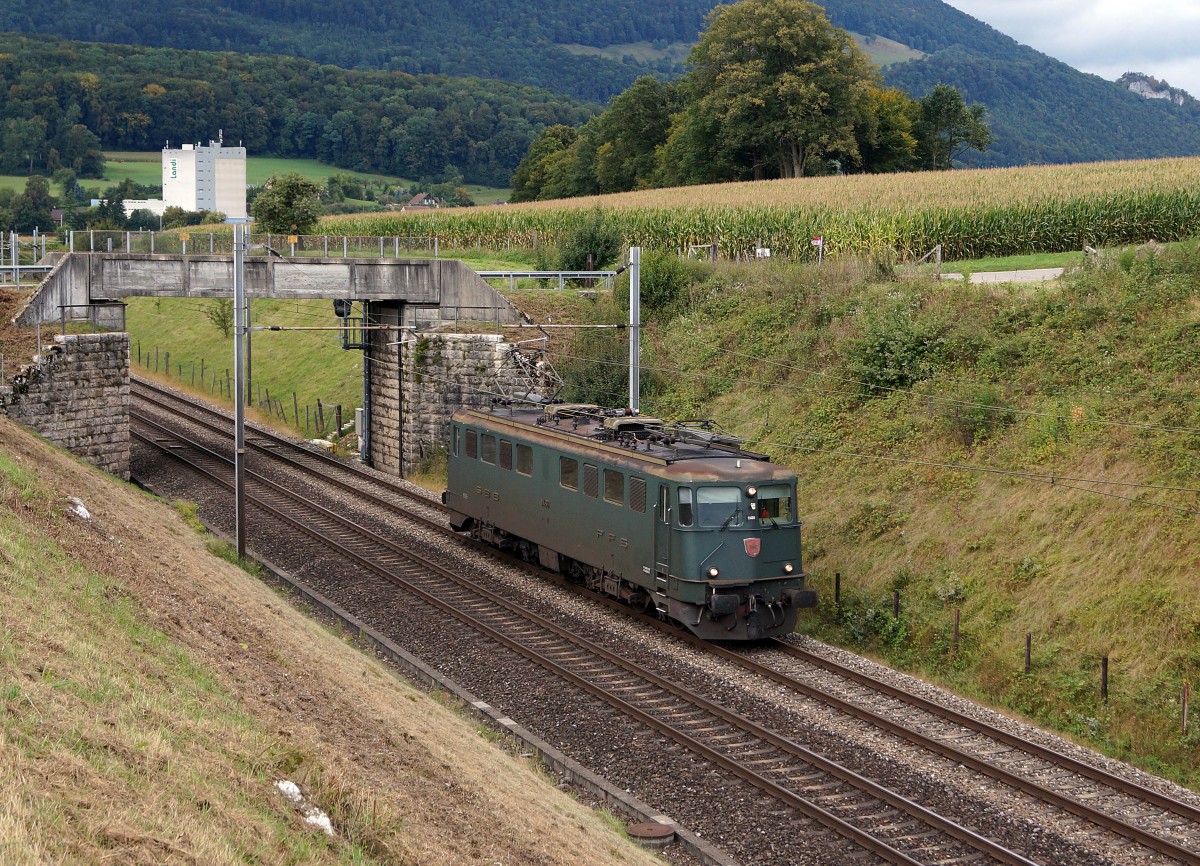SBB: Lokzug mit Ae 6/6 11488 bei Niederbipp am 14. September 2013.
Foto: Walter Ruetsch