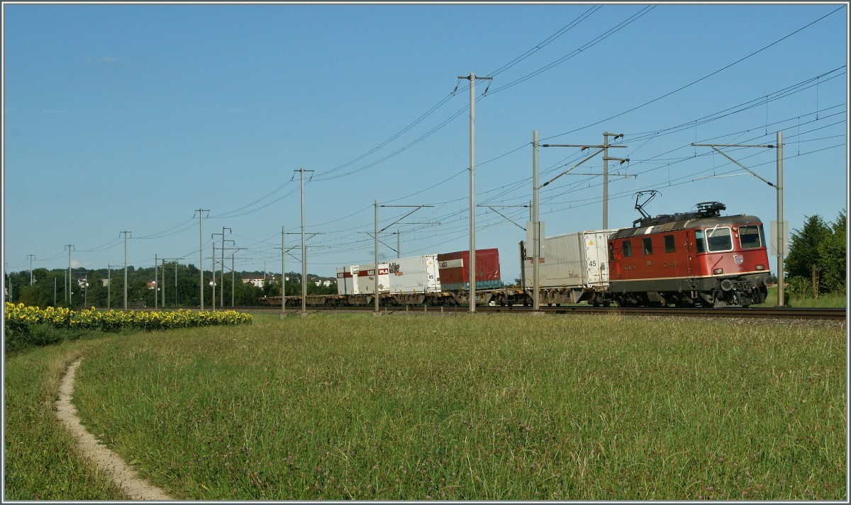SBB Re 4/4 II 11225 mit einem Gterzug Richtung Biel/Bienne bei Pieterlen.
31. Juli 2013