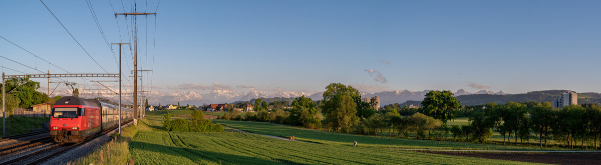 SBB Re 460 095-3  Bachtel  unterwegs als InterCity nach Bern. Hier in der späten Abendsonne am 04.05.2020 aufgenommen