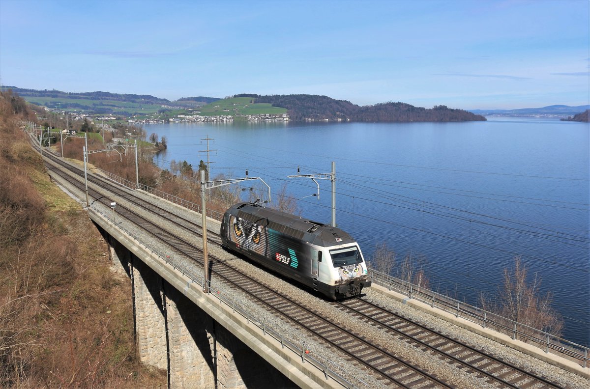 SBB Re 460 105  Eule  unterwegs am Ostermontag als Lokzug Zürich HB-Flüelen am Zugersee zwischen Immensee und Arth-Goldau. Ab Füelen übernimmt sie ihren allerletzten Zug, den Gotthard Panoama Express, im VSLF-Look. 

2. April 2018