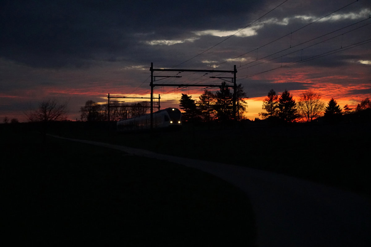 SBB: Regionalzug Biel - Olten am 2. November 2017 bei Niederbipp unterwegs während einem nicht alltäglichen Abendrot.
Foto: Walter Ruetsch