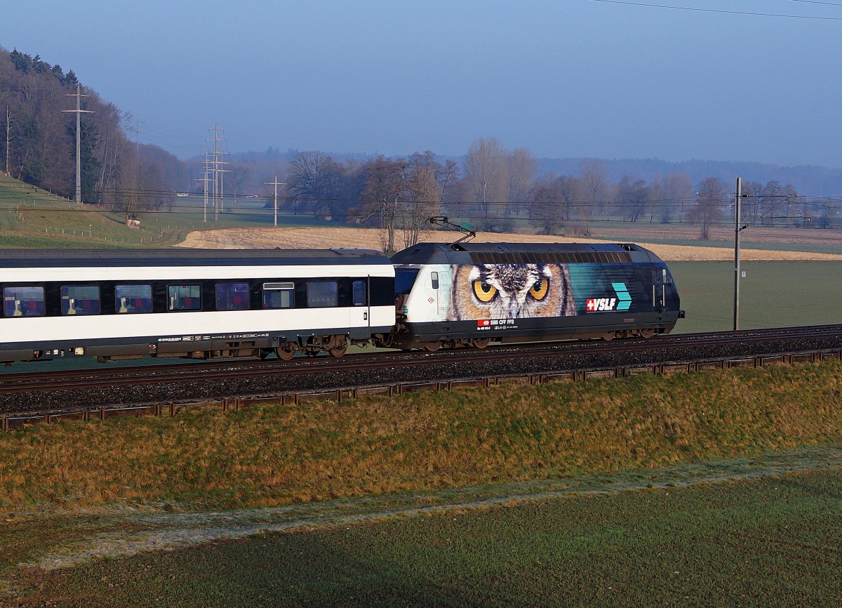 SBB: Seitenansicht der Re 460105-0 bei Bollodingen am 8. März 2014. Sie ist mit einer Vollwerbung für den Verband Schweizer Lokomotivführer und Anwärter VSLF versehen.
Foto: Walter Ruetsch