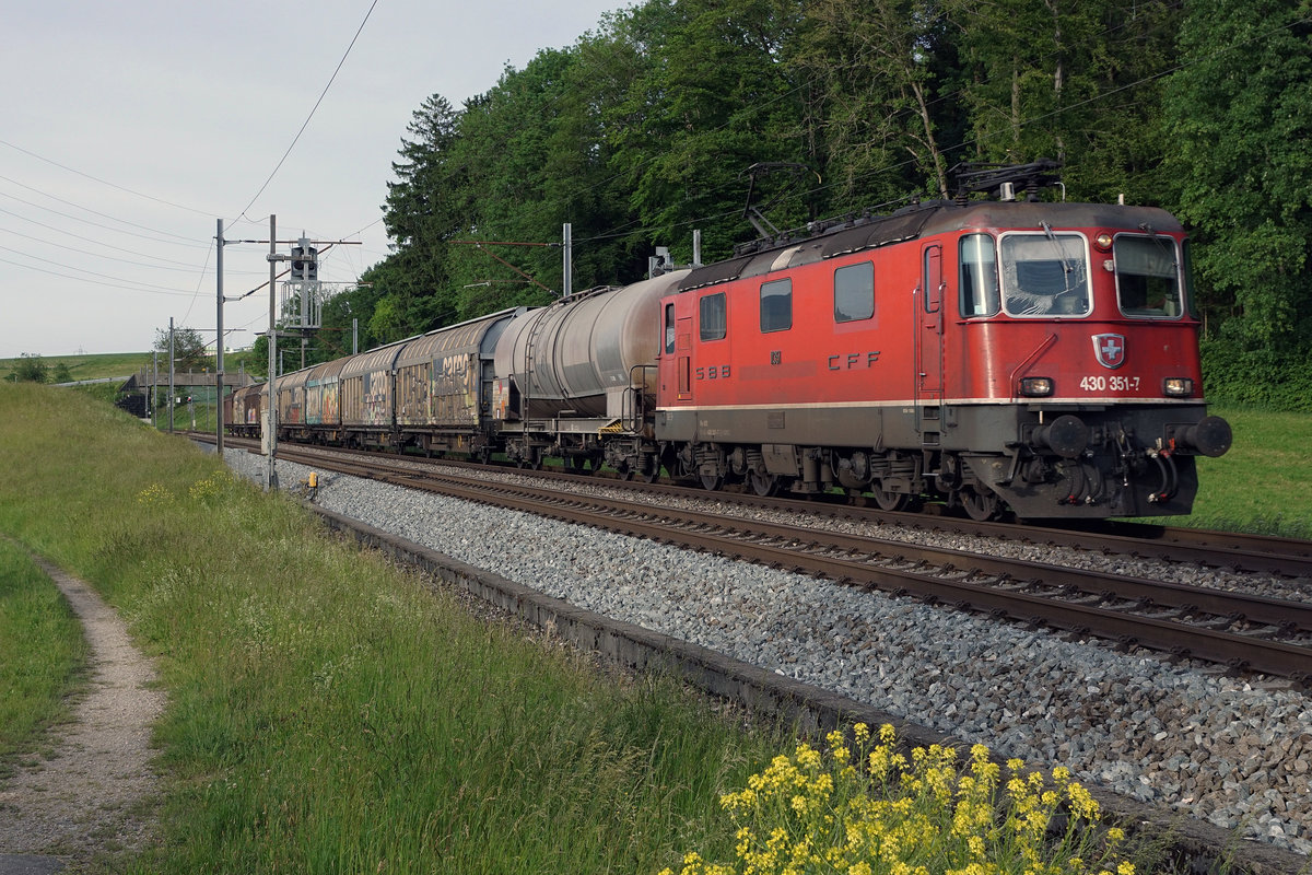 SBB/SOB: Ehemalige SOB Re 4/4 III noch immer im Dienste von SBB CARGO.
Neben den Re 6/6 gehören die Re 4/4 noch immer zu den schönsten sowie  fotogensten  Lokomotiven der SBB.
Güterzug mit Re 430 351-7 (ehemals SOB) zwischen Niederbipp und Wangen an der Aare am 24. Mai 2017.
Foto: Walter Ruetsch  