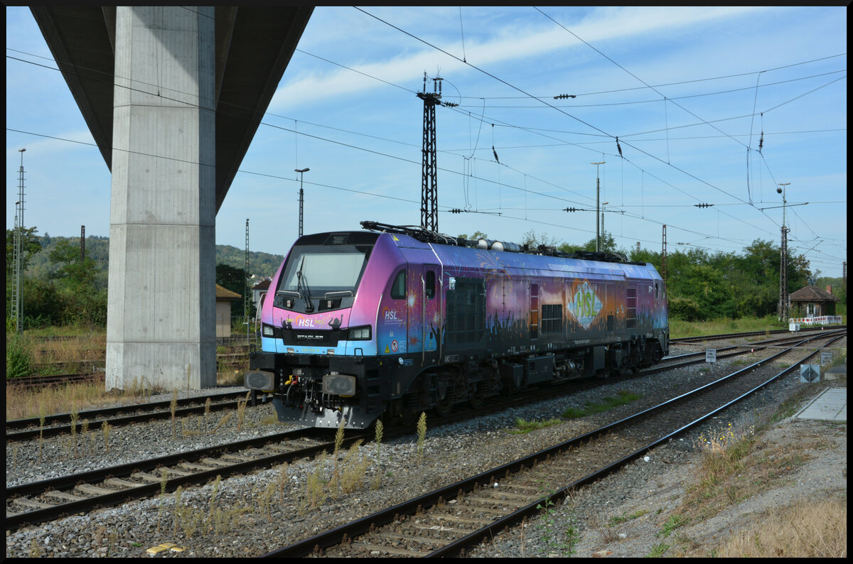 Schattenparker: HSL 2019 307  Jubilee Rider - 20 Jahre HSL  wartet am 22.09.2024 im Schatten der Maintalbrücke Veitshöchheim (SFS Hannover - Würzburg) auf neue Aufgaben.