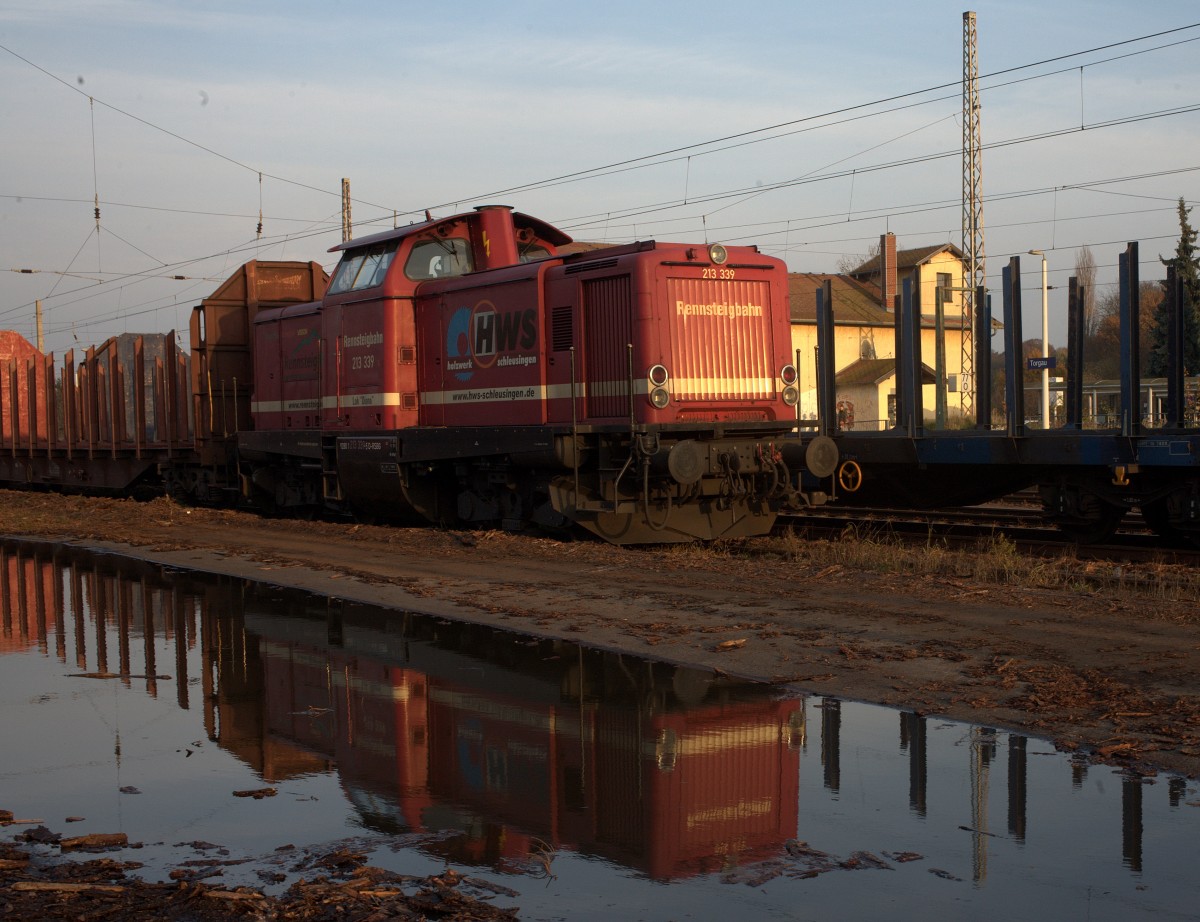 Schau mal an, wie schön sich 213 339 spiegeln kann...Holzverladestelle Torgau.15.11.2014  15:15 Uhr.