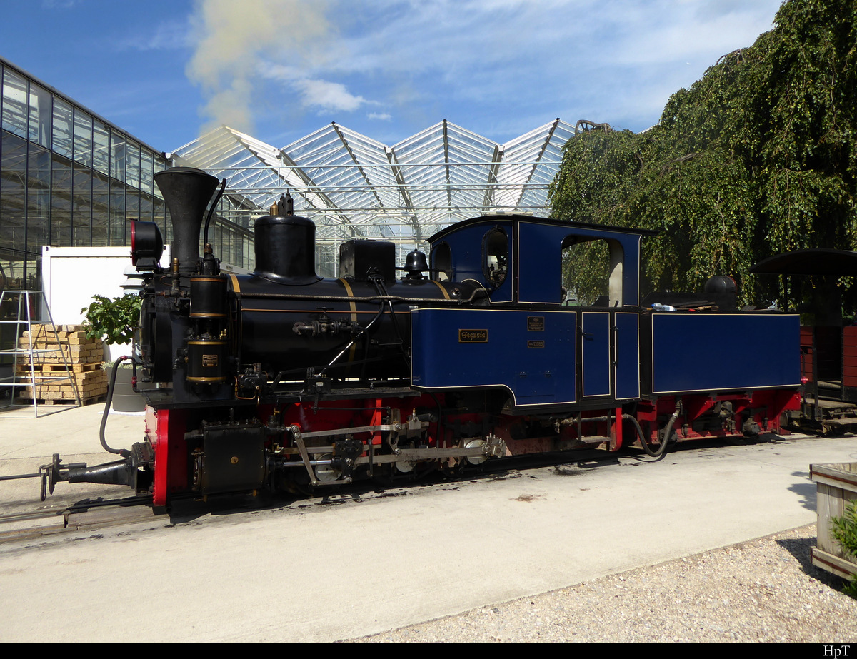 SchBB - Dampflok Sequoia im Planeinsatz in der Baumschule in Schinznach am 05.09.2020