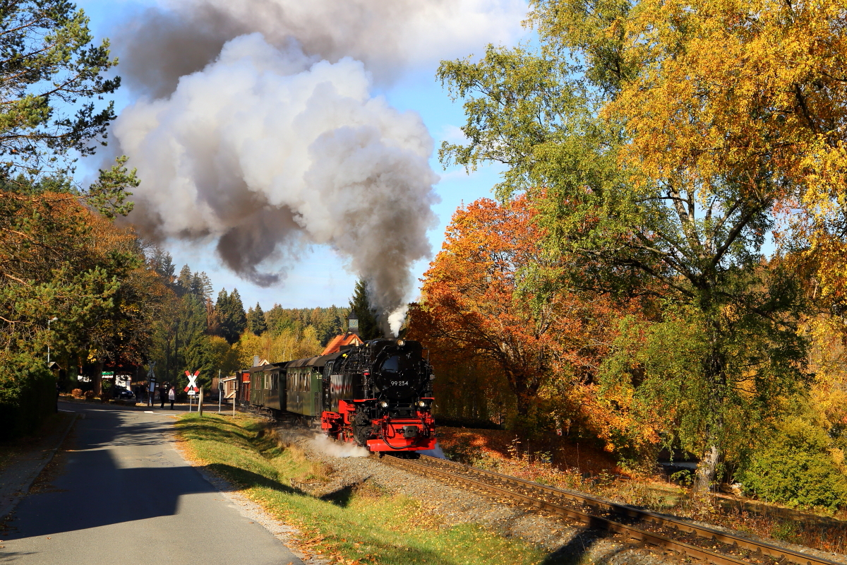 Scheinanfahrt von 99 234 mit IG HSB-Sonderzug am 20.10.2018 aus dem Haltepunkt Sorge. (Bild 2)