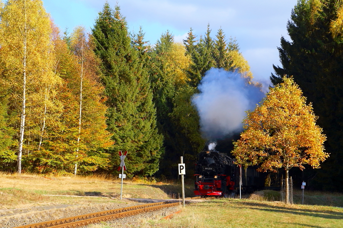 Scheinanfahrt von 99 234 mit IG HSB-Sonder-PmG, Haltepunkt Birkenmoor, am 21 10.2018. (Bild 1) Mit Volldampf taucht der Zug gerade aus dem Dunkel des Harzwaldes auf und steuert den auf einer kleinen Lichtung gelegenen Haltepunkt an.