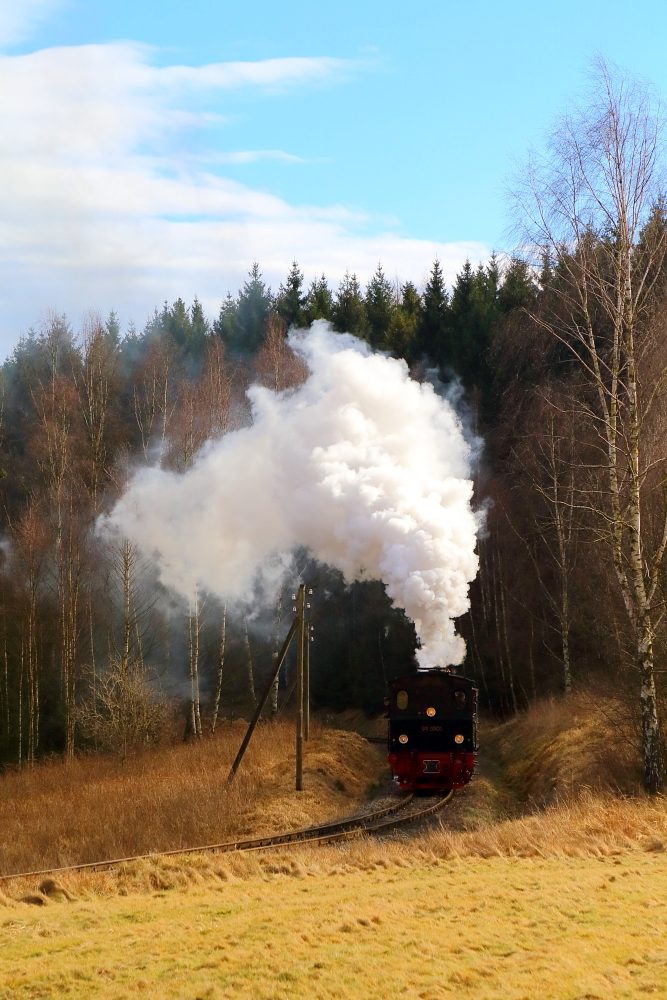 Scheinanfahrt von 99 5901 mit IG HSB-Sonder-PmG am Nachmittag des 26.02.2017 zwischen Mägdesprung und Sternhaus-Ramberg. (Bild 1)