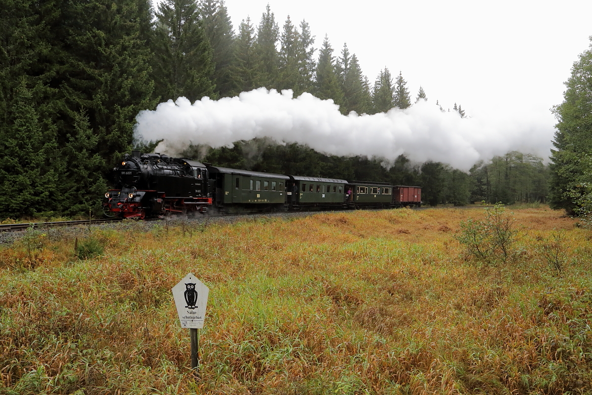 Scheinanfahrt von 99 6001 mit IG HSB-Sonderzug am 22.10.2016 zwischen Elend und Sorge (km 38,3). (Bild 2) Da es sich hier, wie man unschwer sehen kann, um ein Naturschutzgebiet handelt, gibt es von der Lok auch vorbildlicherweise nur rußfreien Dampf! ;-)