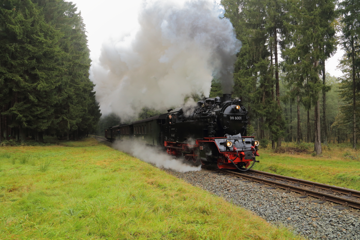 Scheinanfahrt von 99 6001 mit IG HSB-Sonderzug am 18.10.2015 zwischen Elend und Sorge (Km 38,3). (Bild 2)
