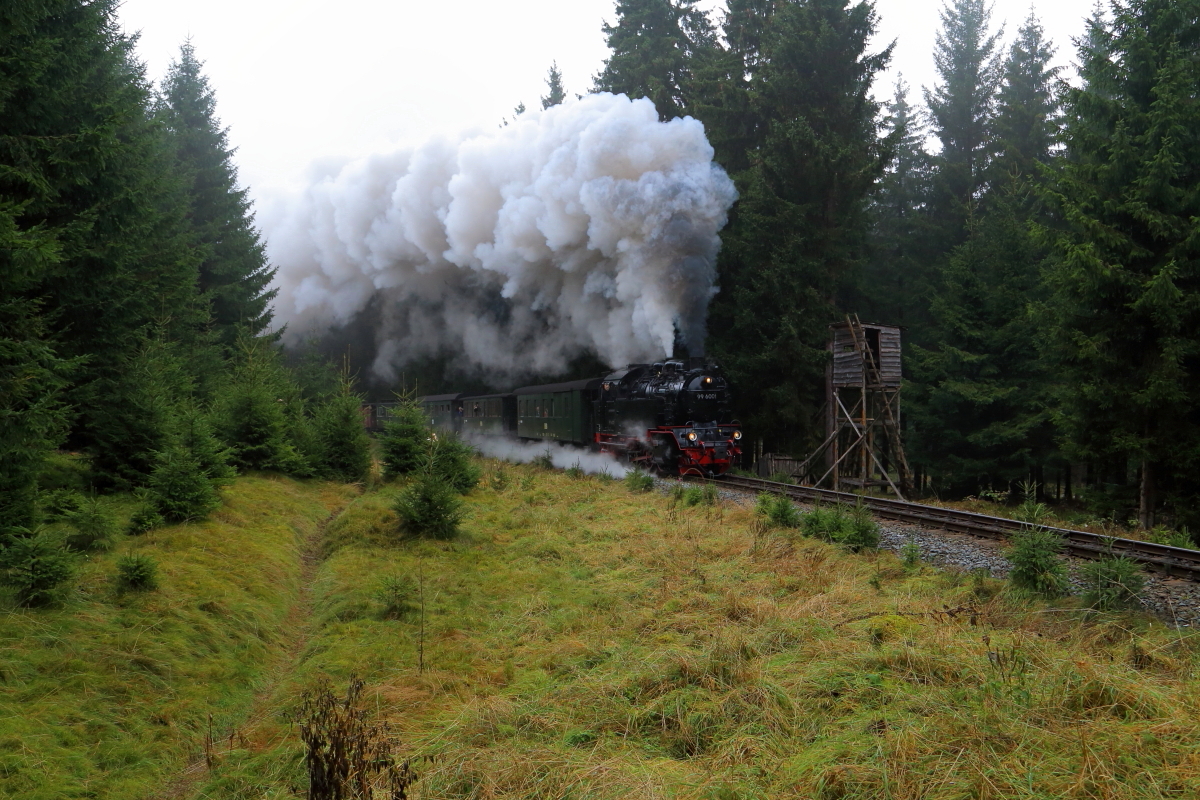 Scheinanfahrt von 99 6001 mit IG HSB-Sonderzug am 18.10.2015 zwischen Benneckenstein und Eisfelder Talmühle. (Bild 1)