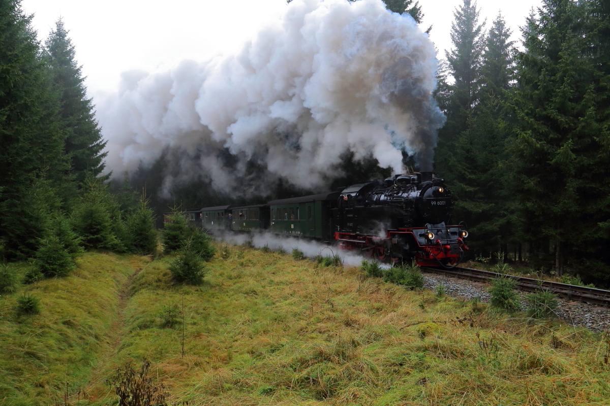 Scheinanfahrt von 99 6001 mit IG HSB-Sonderzug am 18.10.2015 zwischen Benneckenstein und Eisfelder Talmühle. (Bild 2)