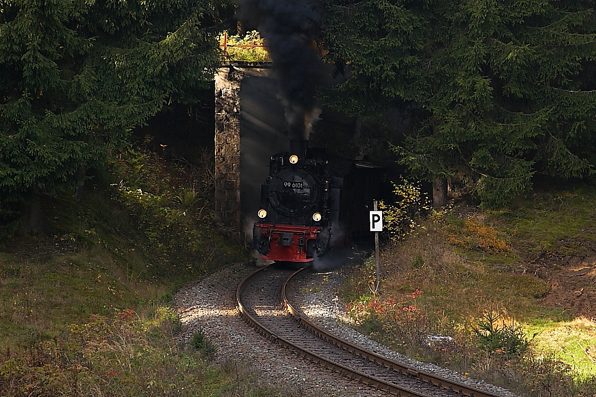 Scheinanfahrt von 99 6101 mit Sonderzug der IG HSB am 19.10.2013 zwischen Benneckenstein und Eisfelder Talmühle (Bild 1).