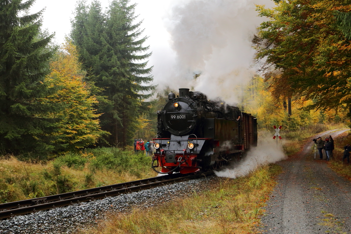 Scheinanfahrt Nr. 1 von 99 6001 mit IG HSB-Sonderzug am 22.10.2016 kurz vor dem Haltepunkt Birkenmoor.