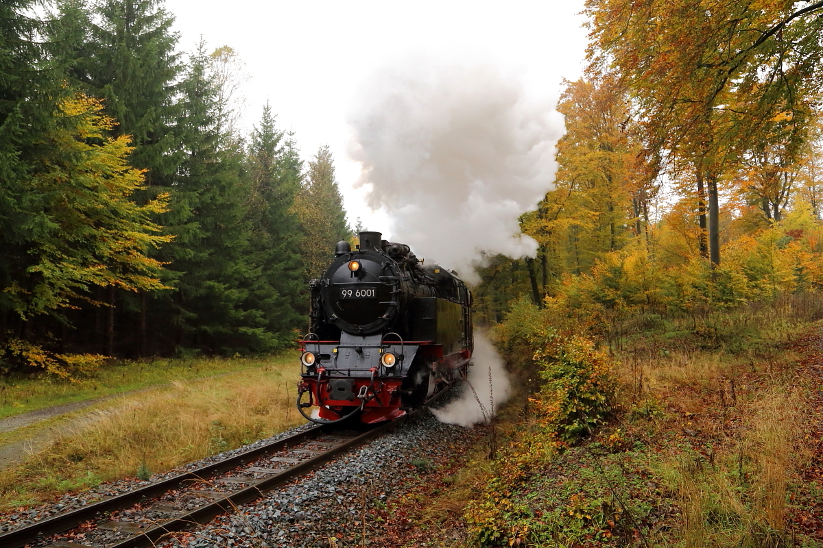 Scheinanfahrt Nr. 2 von 99 6001 mit IG HSB-Sonderzug am 22.10.2016 kurz vor dem Haltepunkt Birkenmoor. (Bild 2)