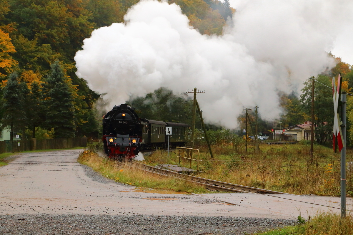 Scheinausfahrt von 99 6001 mit IG HSB-Sonderzug am 22.10.2016 aus dem Haltepunkt Netzkater.