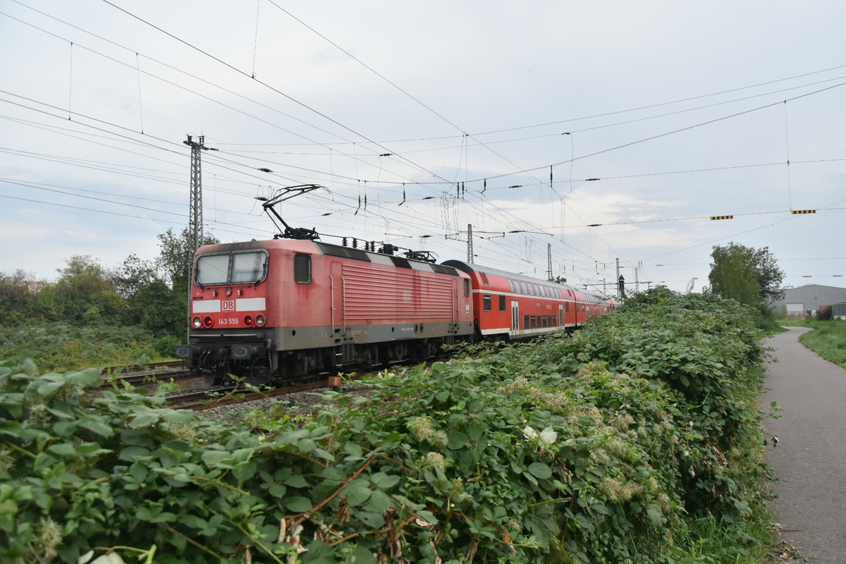 Schiebend ist 143 555 am RB 27 nach Koblenz  Hbf bei der Einfahrt in Grevenbroich von mir mit einem Schuß über die Hecke  worden. Mittwoch 28.8.2019