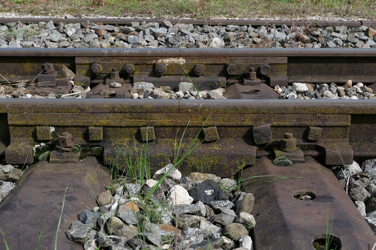 Schienen und Schwellen der Öchsle Bahn an der ehemaligen Haltestelle Sulmingen (25.09.2022)