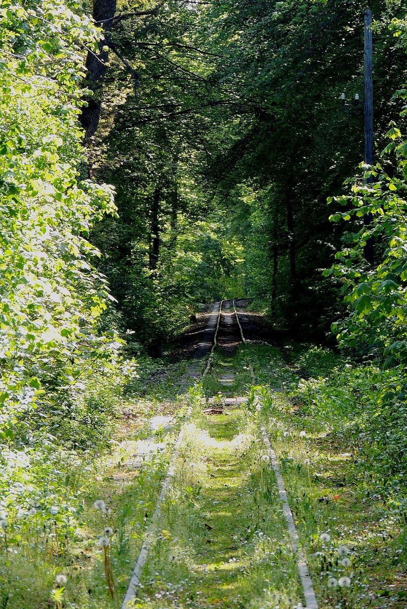 ...Schienenstrang in der Botanik, bzw. jener der Steyrtalbahn;200506