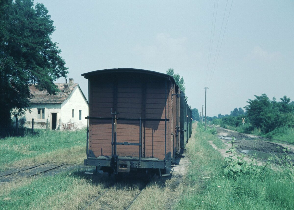 Schmalspurbahn Balatonfenyves Unterwegshalt_[3]_14-07-1975