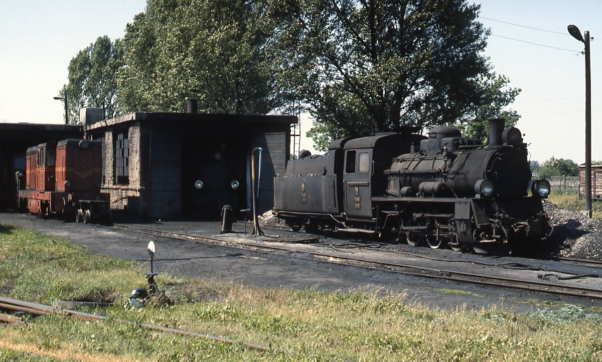 Schmalspurbahnen in Polen: In Krosniewice waren im Juni 1990 noch die abgebildete Px48 sowie eine weitere im Lokschuppen vorhanden. Sie dürften jedoch - außer evtl. vor Sonderzügen - nicht mehr eingesetzt worden sein. Im Güterverkehr (vor allem Zuckerrüben und andere landwirtschaftliche Produkte) wurden die bei Faur/Rumänien beschafften Diesellokomotiven vom Typ Lxd2 (links im Hintergrund) eingesetzt, während Dieseltriebwagen den Personenverkehr versahen. Die Krosniewicka KD gehörte zum in seinen Glanzzeiten etwa 500 km umfassenden Netz der kujawischen Schmalspurbahnen.