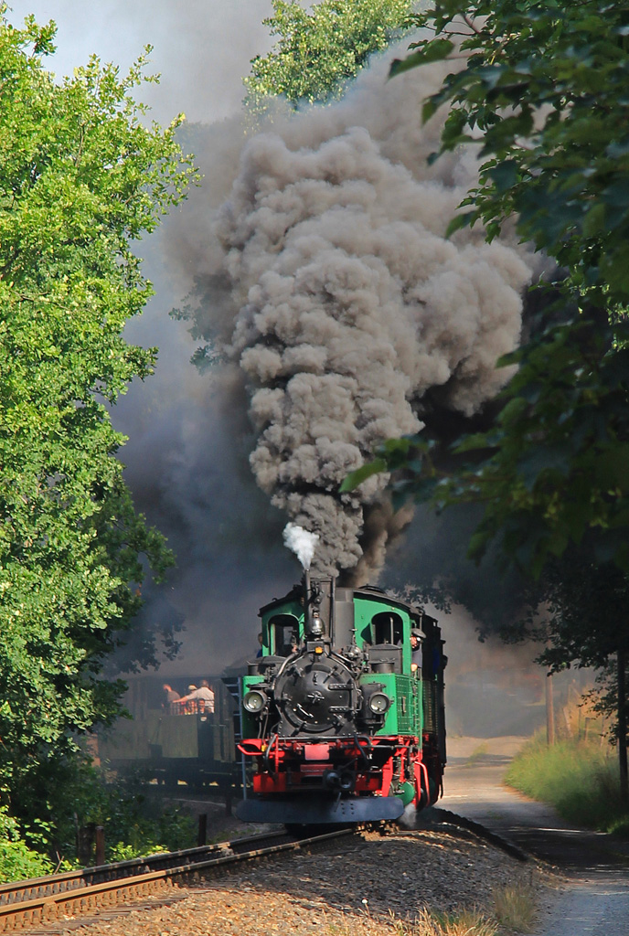 Schmalspurbahnfestival 2015 bei der Weißeritztalbahn. Zug 5200 verläßt Seifersdorf, 18.07.2015.