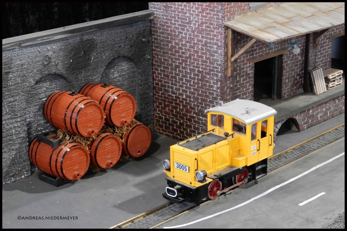 Schnappschüsse von der Modellbau-Messe in Kassel: Güterschuppen-Atmosphäre (15.01.2016).