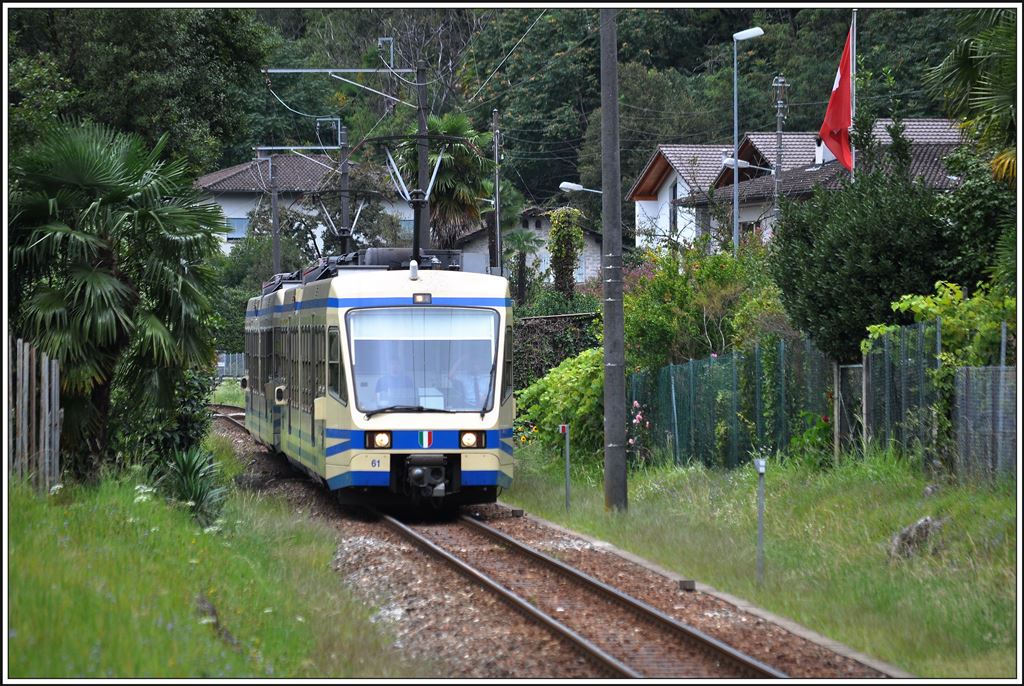 Schnellzug 157 Domodossola - Locarno wird von den beiden SSIF ABe 4/6 61 + 63 geführt. Unweit der Station Tegna. (03.09.2014)
