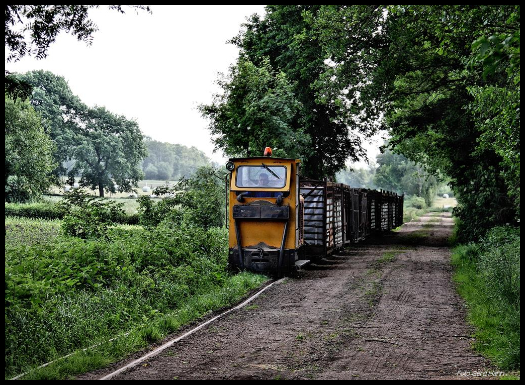 Schoema Lok 002 kommt unterhalb des Sommerweg in Lohne mit einem langen Torfwagen Zug aus dem Moor.
