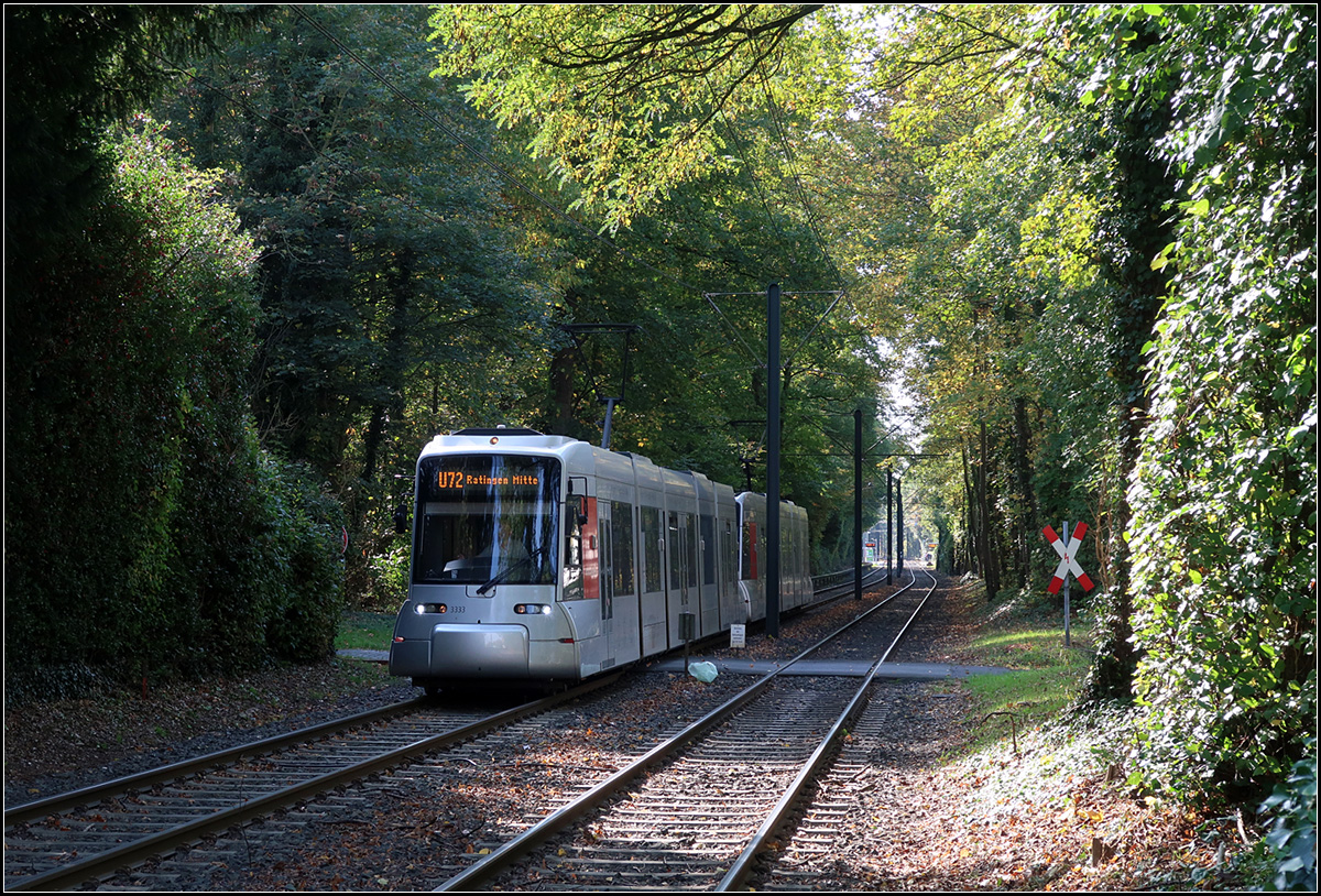 Schön im Grünen -

Eine NF8U-Straßenbahn auf der U72 nach Ratingen-Mitte zwischen Bäumen auf der früheren Eisenbahnstrecke kurz vor der Haltestelle Hirschweg in Düsseldorf Rath.

Düsseldorf, 14.10.2019 (M)