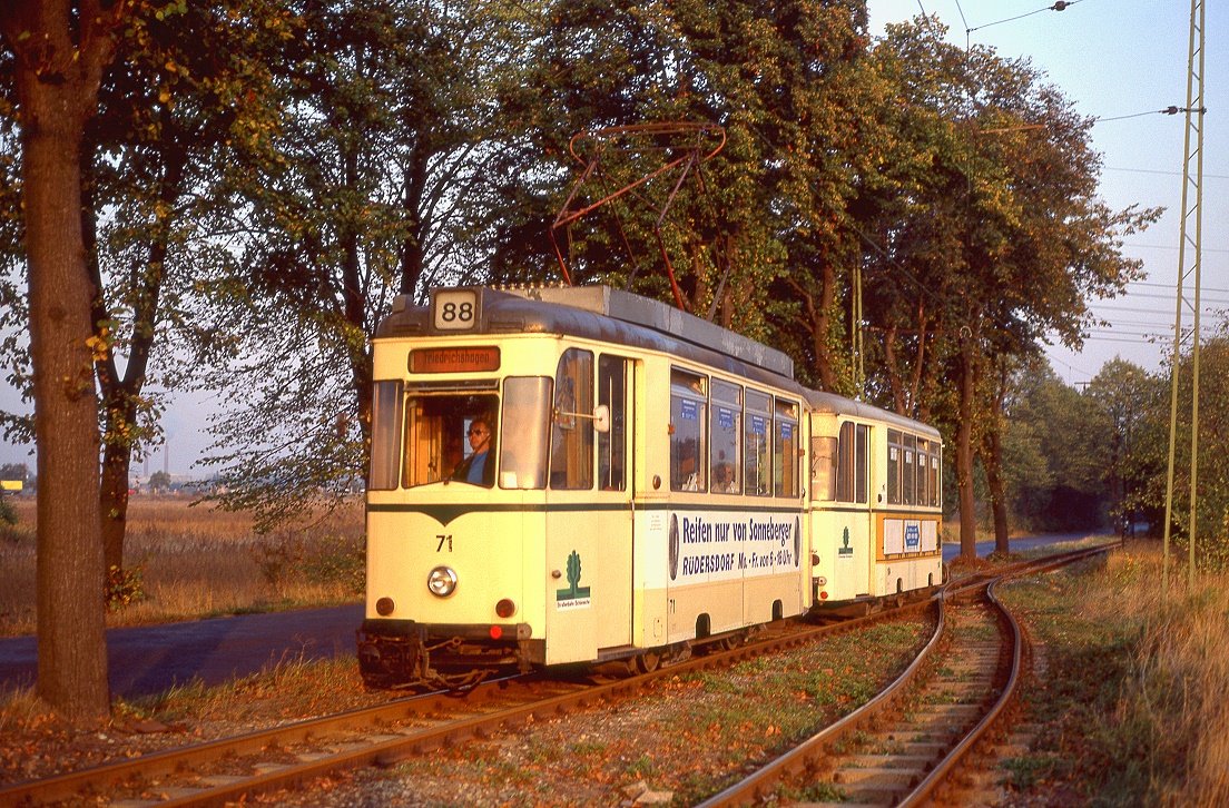 Schöneiche 71 + 104, Schönebecker Heide, 09.10.1991.