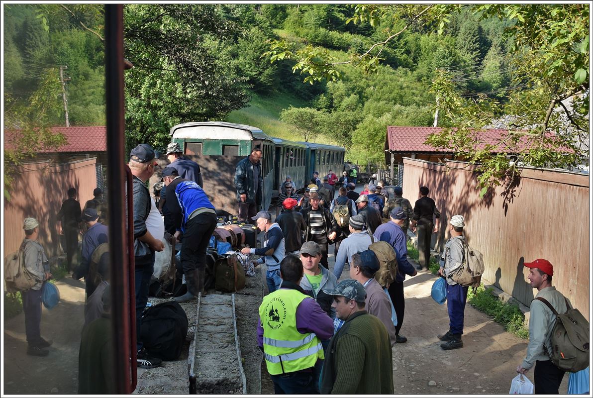 Schon bald kommen ein paar dutzend weitere Waldarbeiter dazu. (12.06.2017)