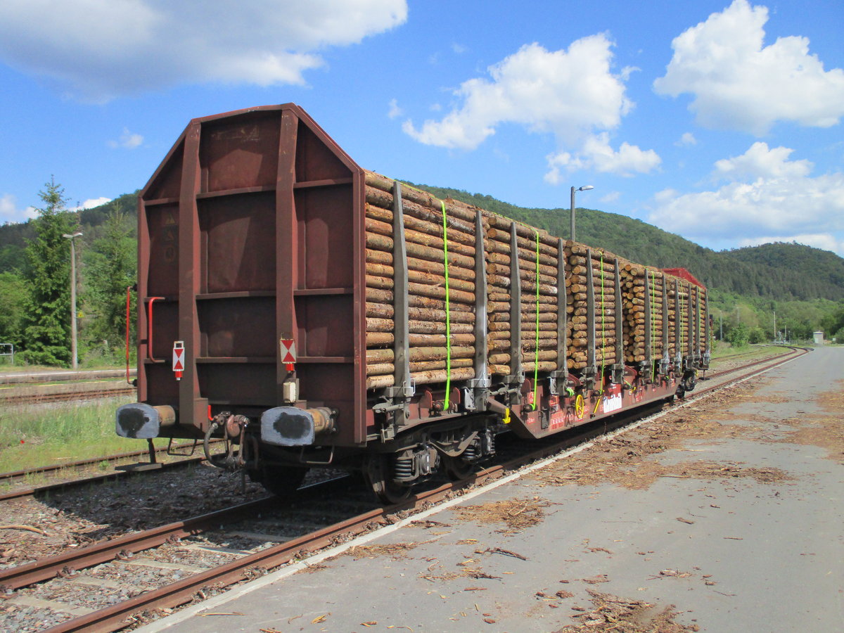 Schon mit Holz beladen und zur Abholung bereit stand dieser Rnoos,am 29.Mai 2020,in Walldorf/Werra.