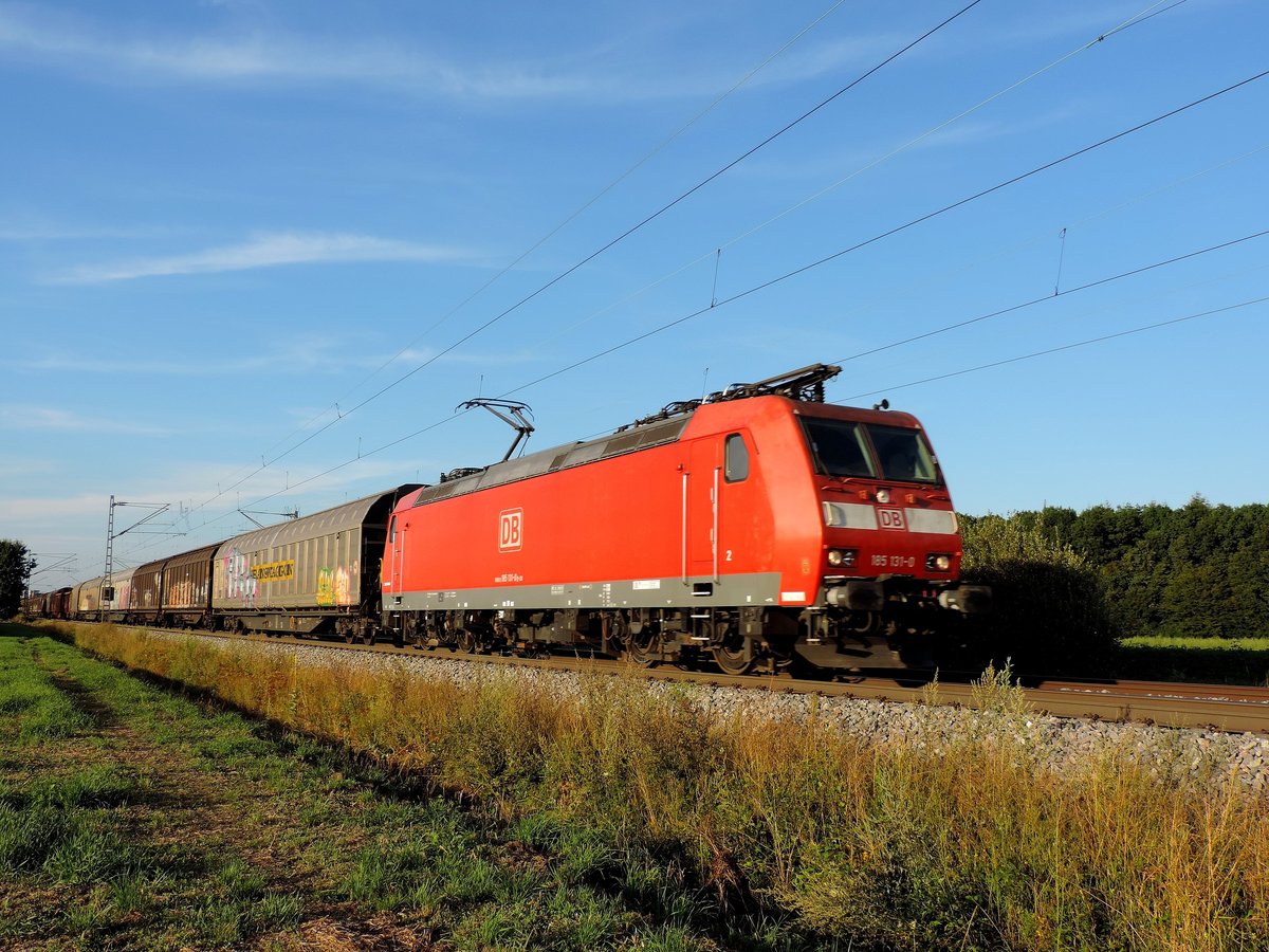 Schutterwald - 07.08.17 : 185 131 im Abendlicht.