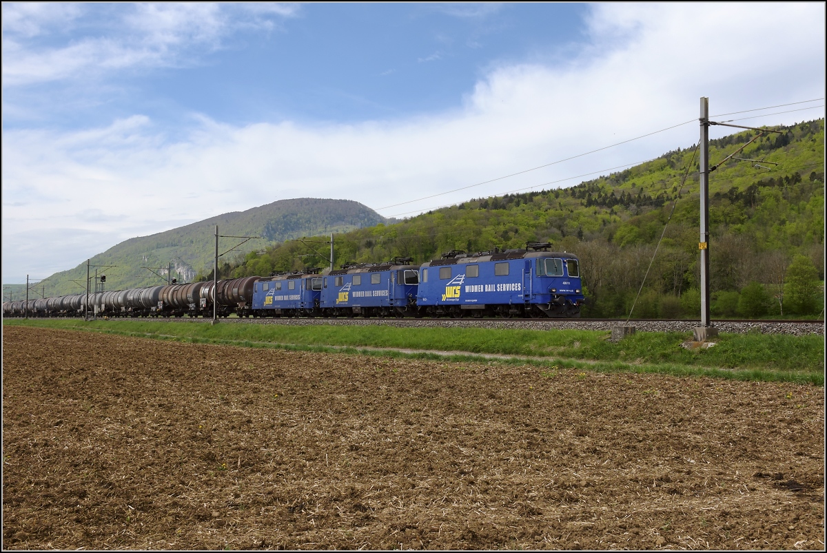 Schweizer Gubahn. Re 430 111, Re 430 115 und Re 421 383 bei Oensingen. April 2019.