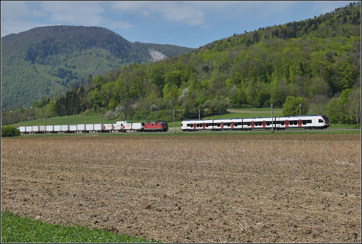 Schweizer Gäubahn. Re 4/4 II 11263 begegnet ihrem Migroszug bei Oensingen einem Zuger Flirt. April 2019.