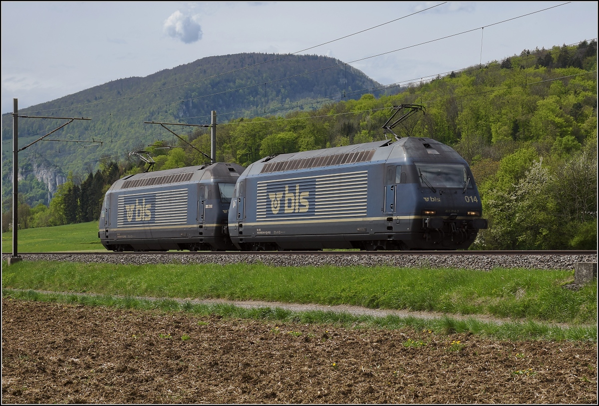 Schweizer Gäubahn. Re 465 011 und 014 bei Oensingen. April 2019.