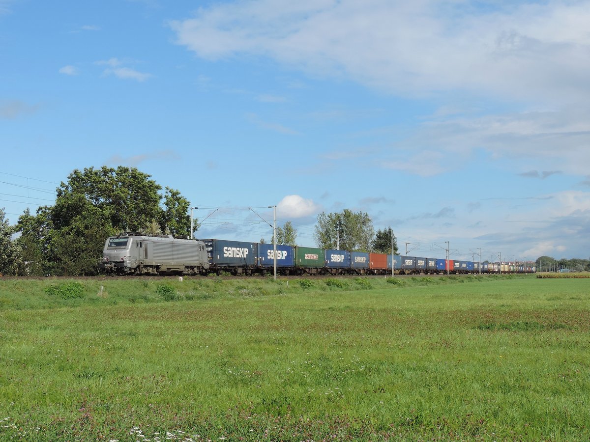 Schwindratzheim, 14/09/2017 : ein Rheintalumleiter fährt über die Linie 1 zwischen Kehl und Forbach, gezogen von der 37055.