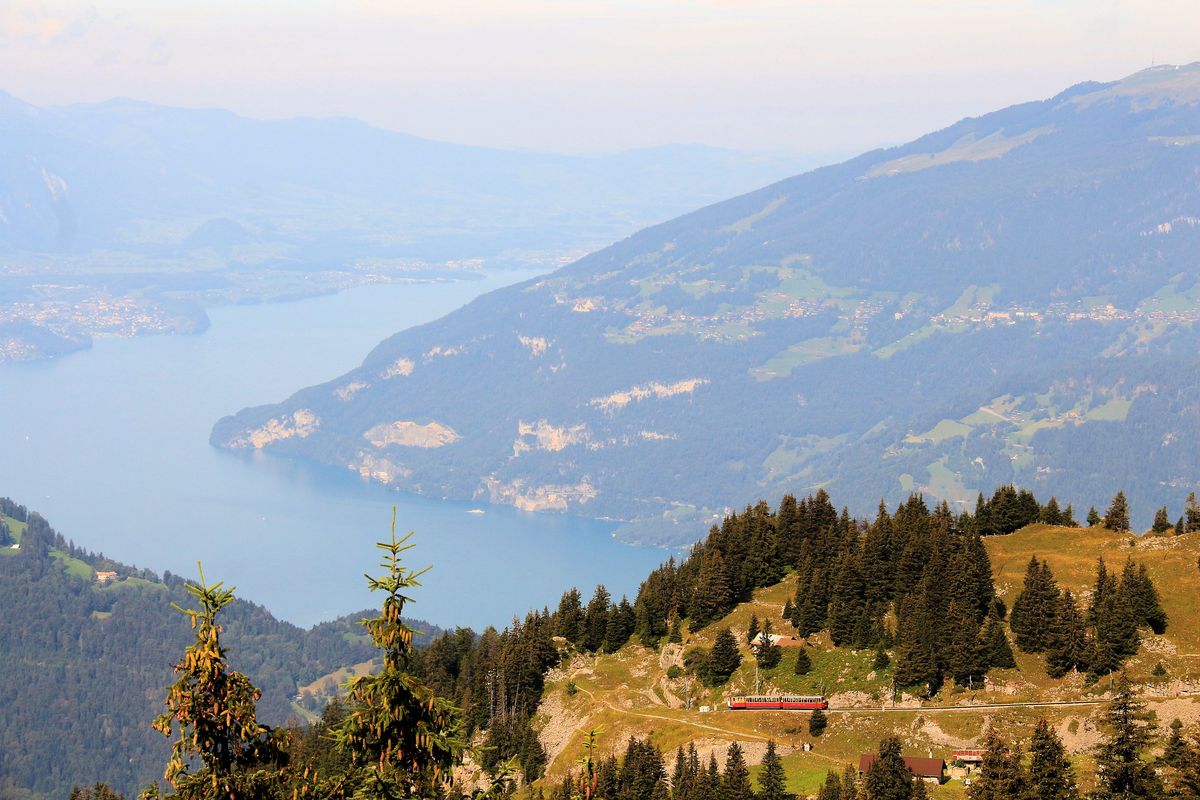 Schynige Platte Bahn: Als ob es eine Modellanlage wäre - Lok 20 mit den Wagen 45 und 46 im Abstieg zwischen Schynige Platte und Breitlauenen. 3.September 2016. 